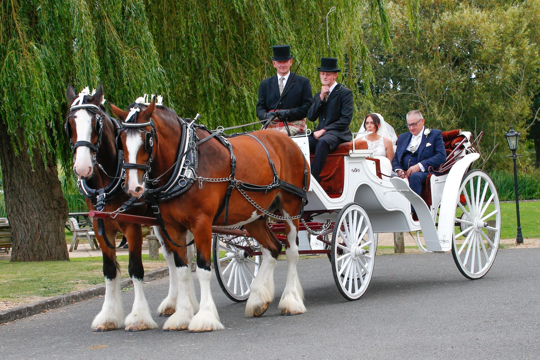 Vis-à-Vis Carriage - View 1